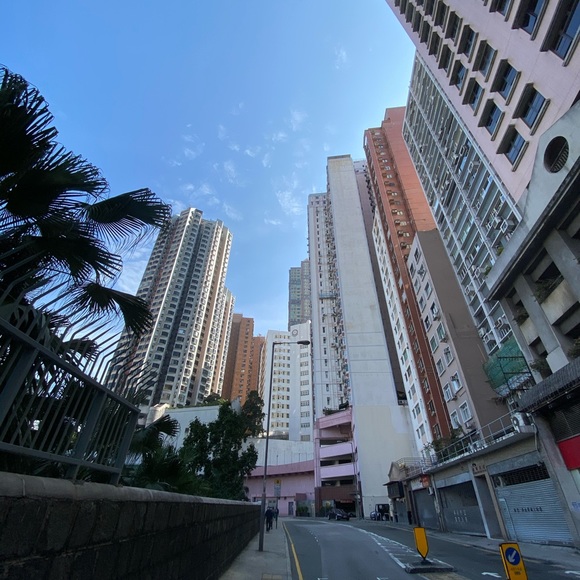 Meet your Posher, Lauren - Picture 1 of 1